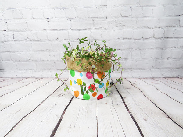Plant Bag - Polkadot
