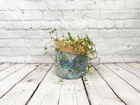 Plant Bag - Vintage Green