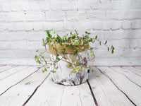 Plant Bag - Evie
